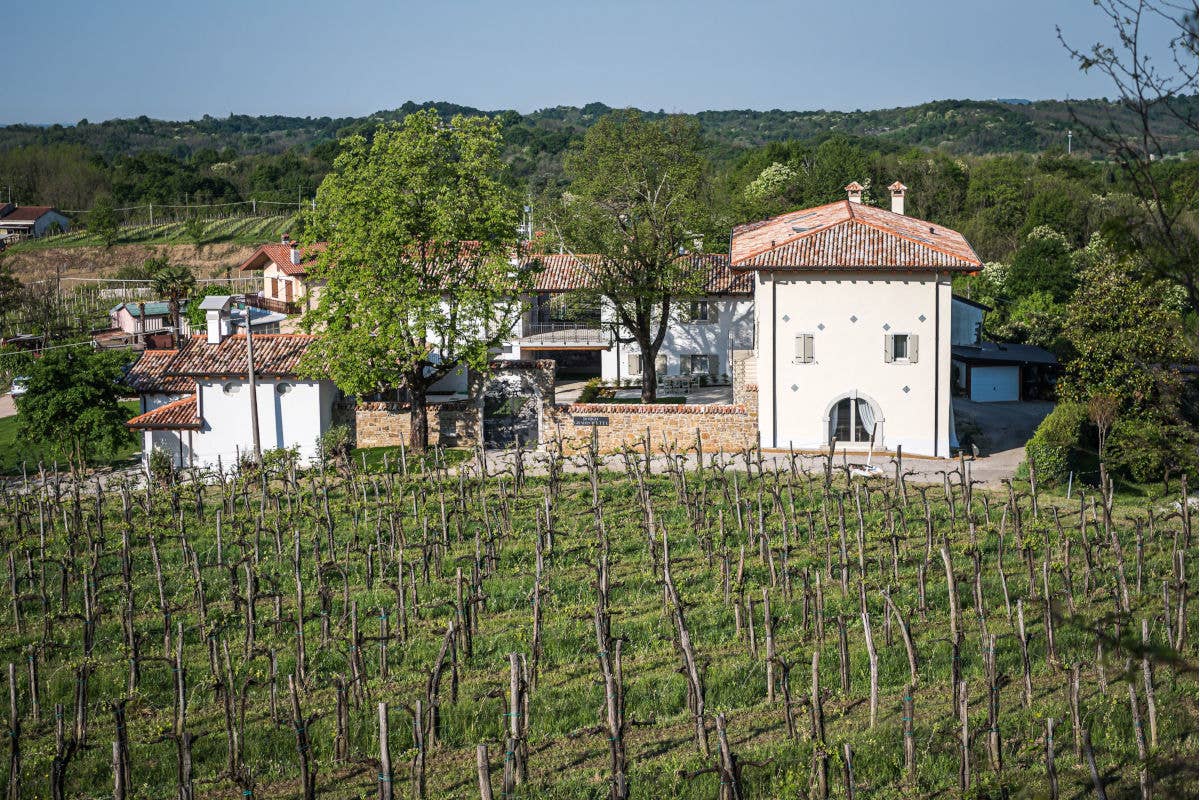 I vini friulani del Collio protagonisti al ristorante Eggs